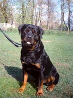 KUBURUMBA - chovatelská stanice