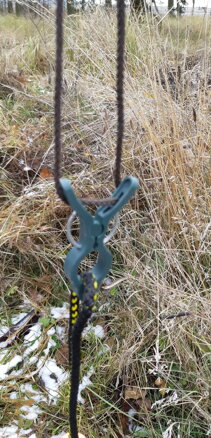 Šibenice držák na míček, výcvik psa, povel vysíláni v před 